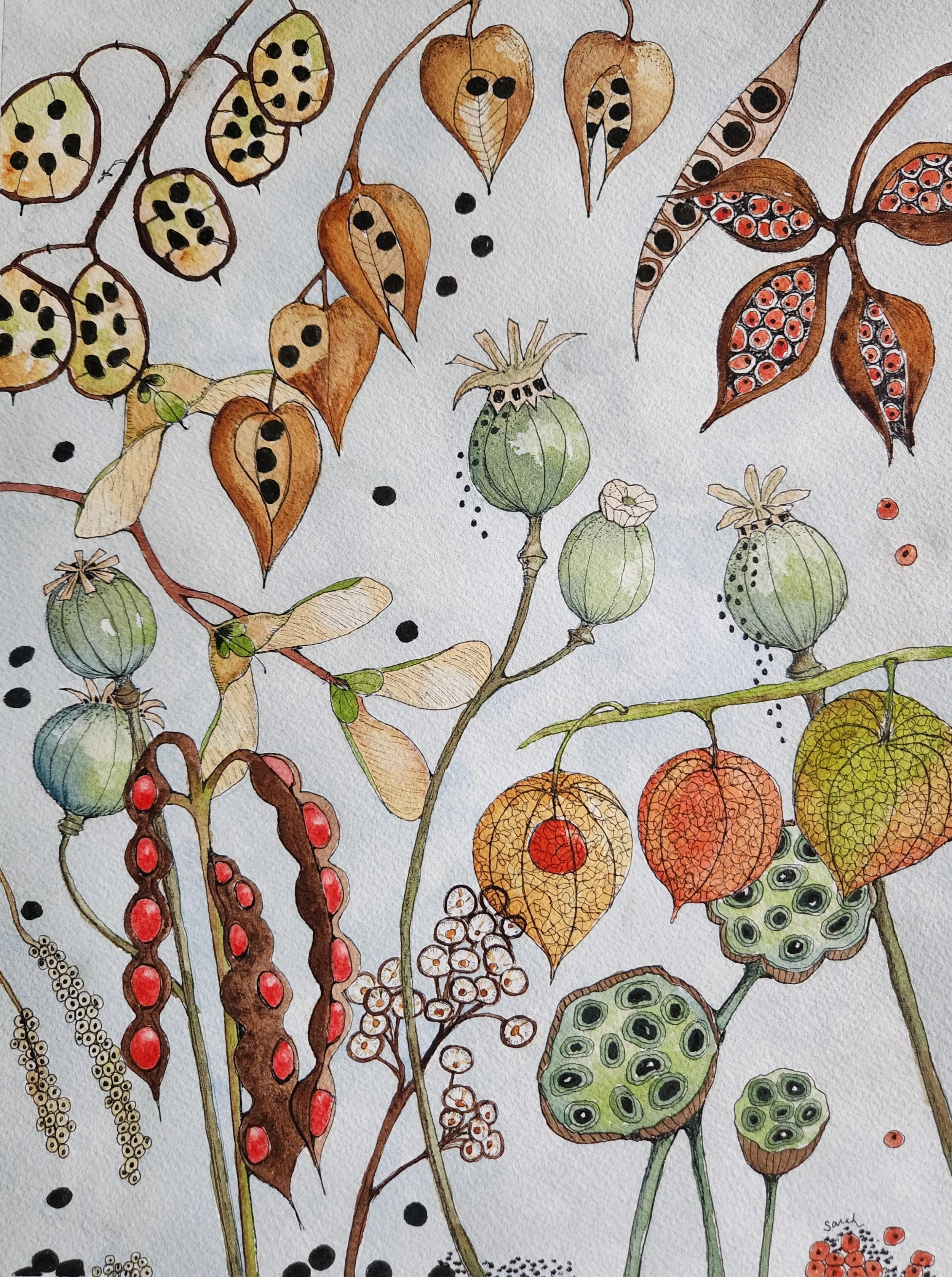 Seed Pods ll - The Seeds Within (20).jpg