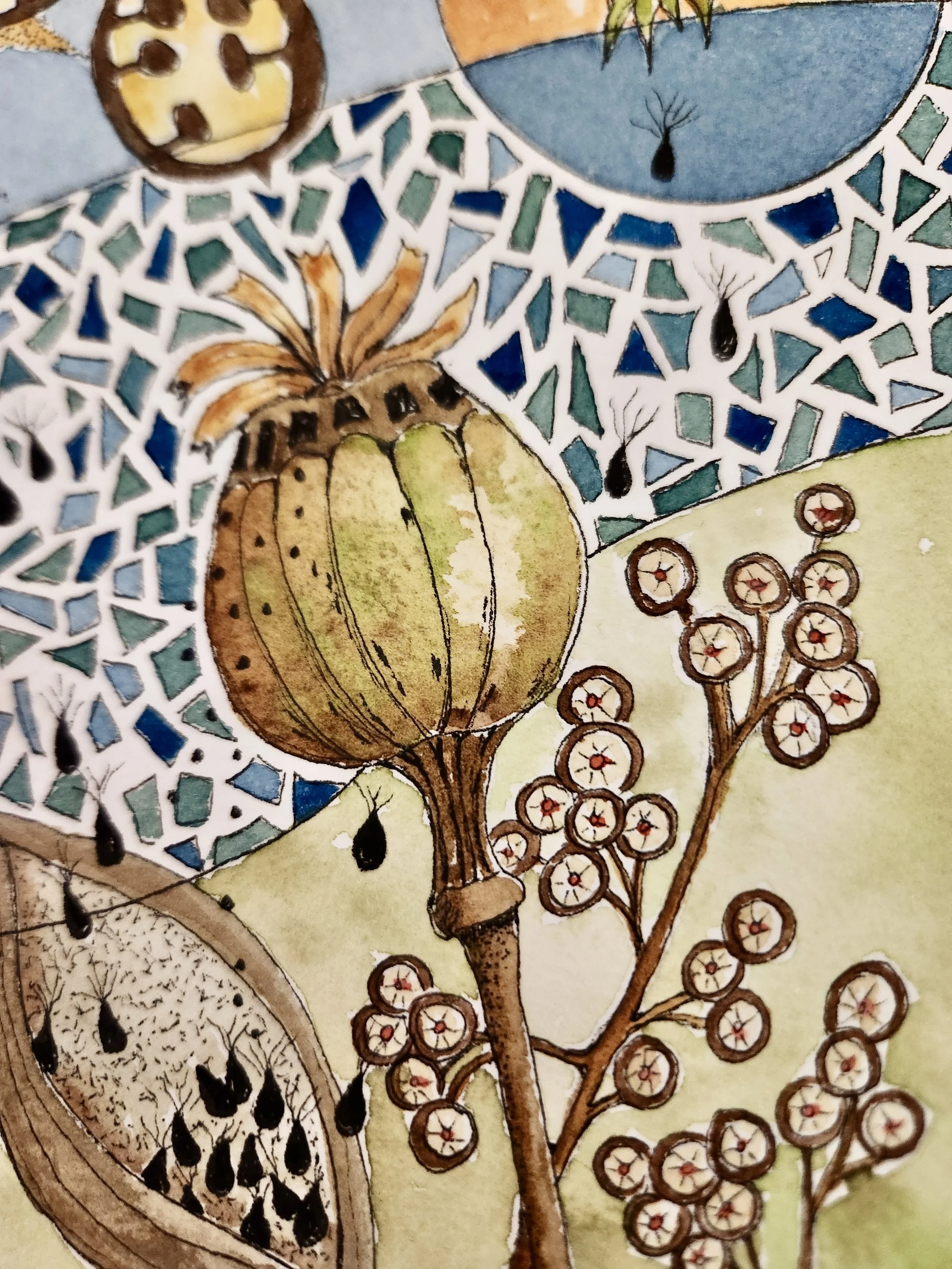 seeds-abstract-1 2.jpg