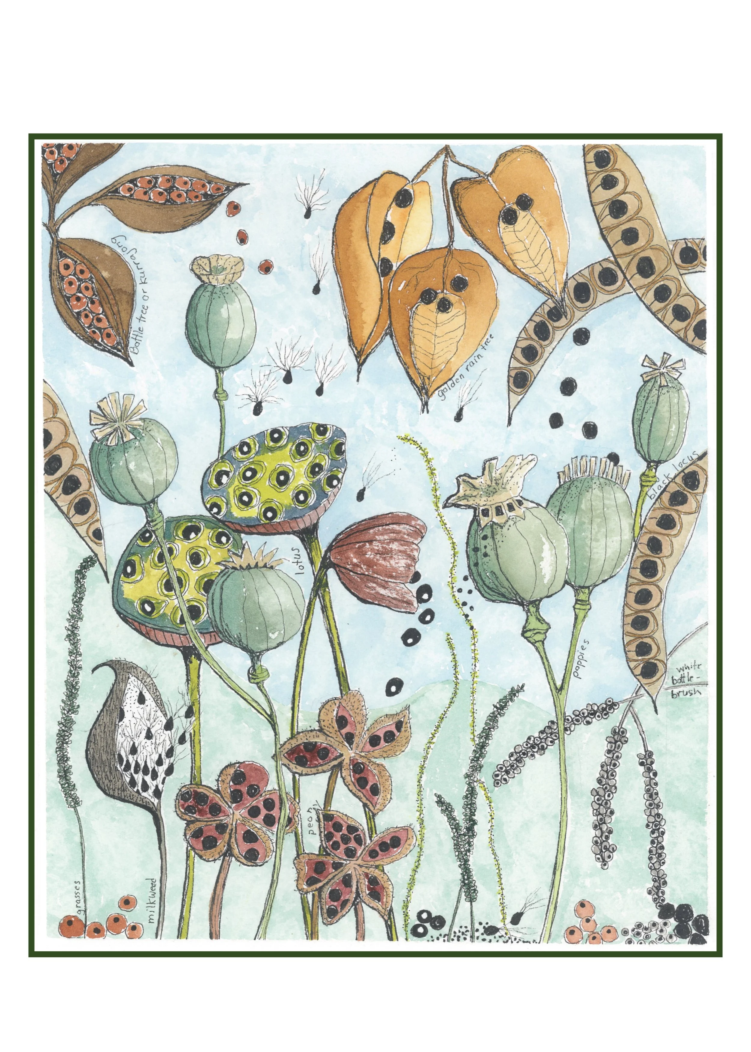 seed pods.001.jpeg