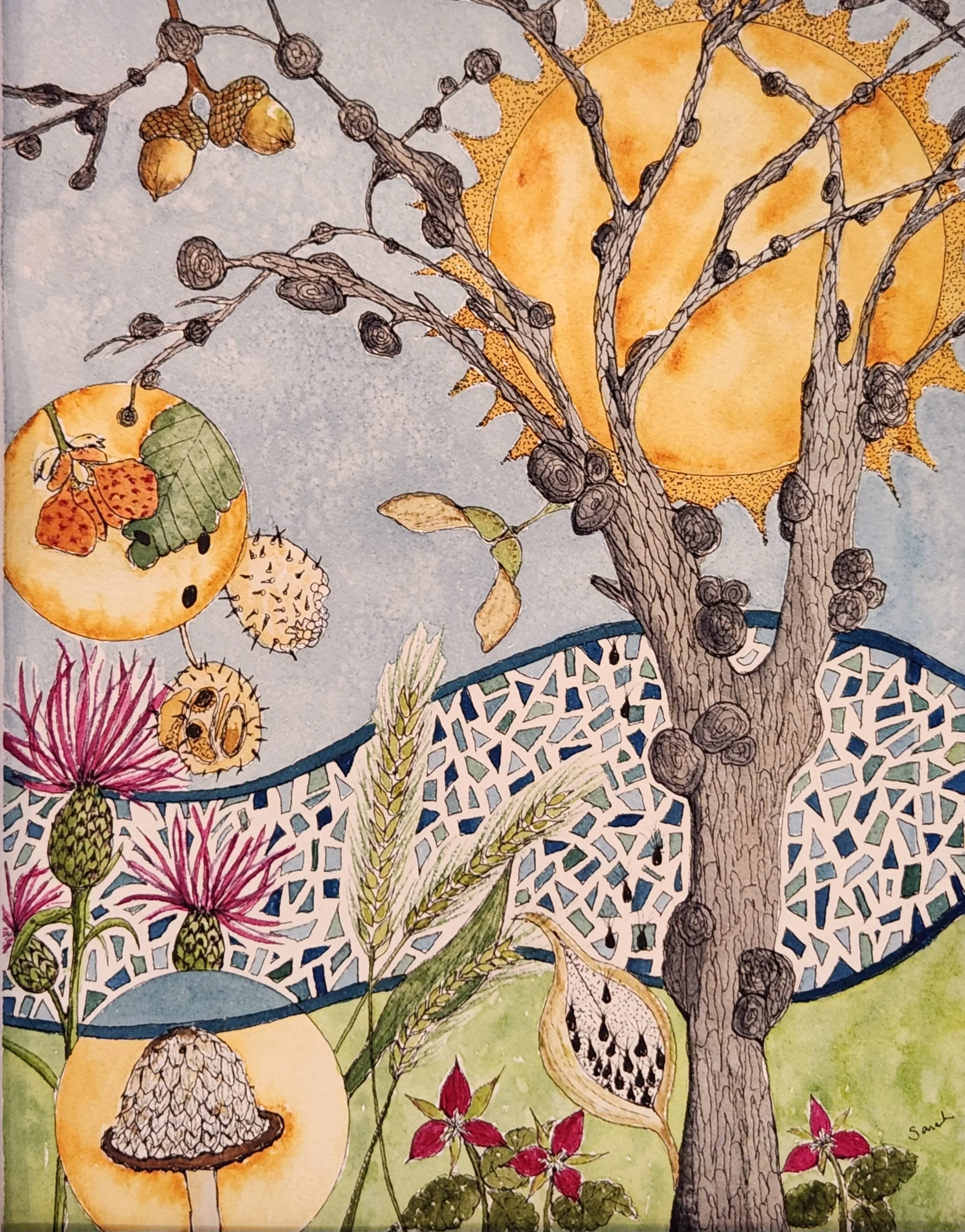 An Artist’s Obsession with Seed Pods: Finding Inspiration in Nature