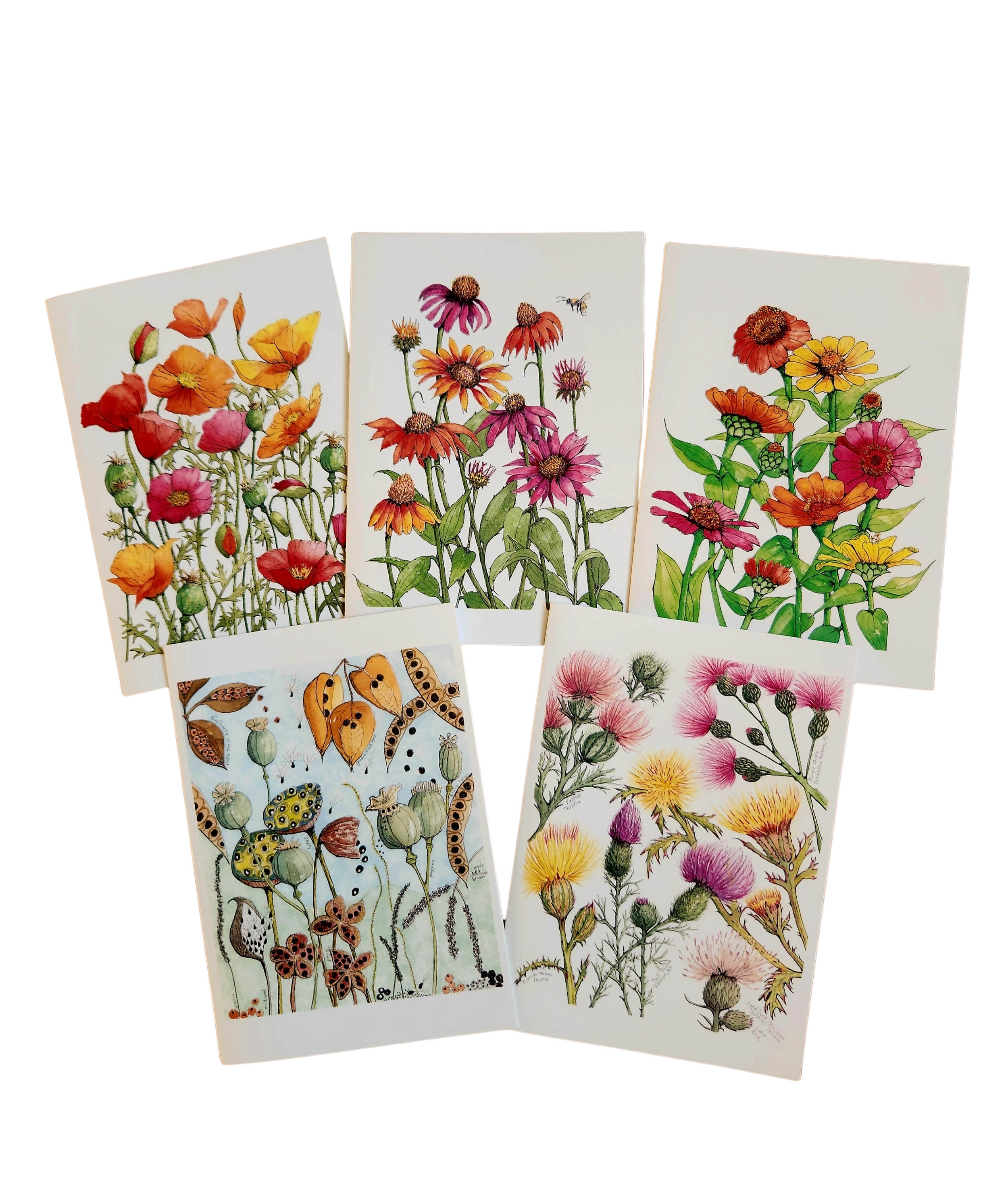 New_Floral_Cards-removebg.png