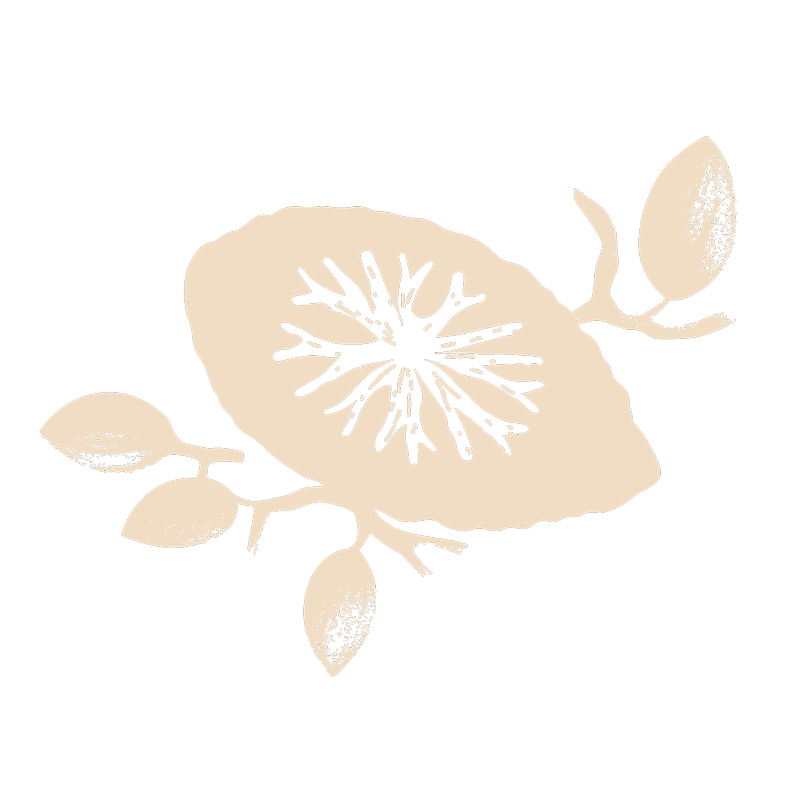 Almond.png