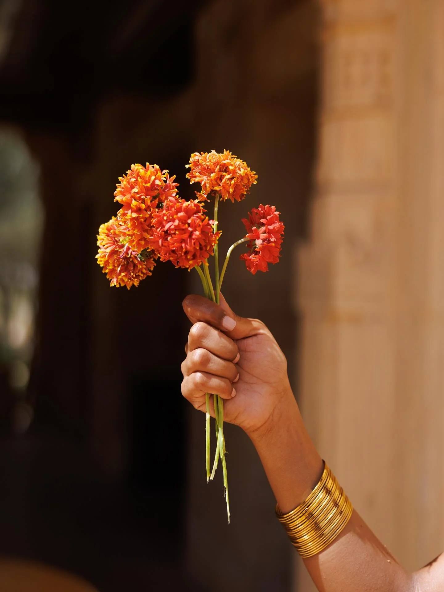 We are delighted to announce that Le Grey is now managing the PR and communications strategy for Mauli Rituals.
Rooted in the wisdom of Ayurveda, Mauli Rituals craft pure, plant-based remedies honouring time-honoured Indian traditions with a modern