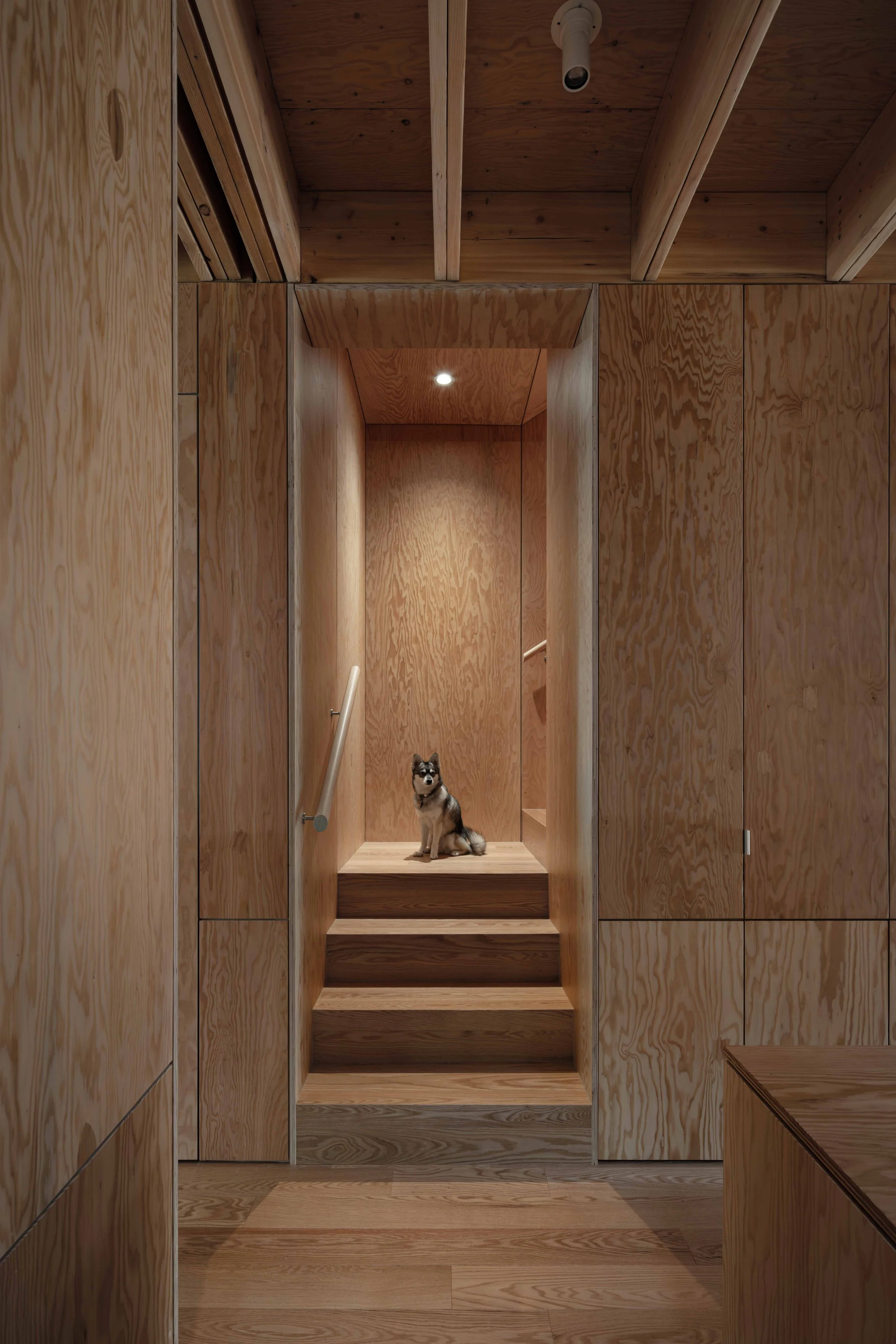 9-LeckieStudio_Addapt_1032.jpg
