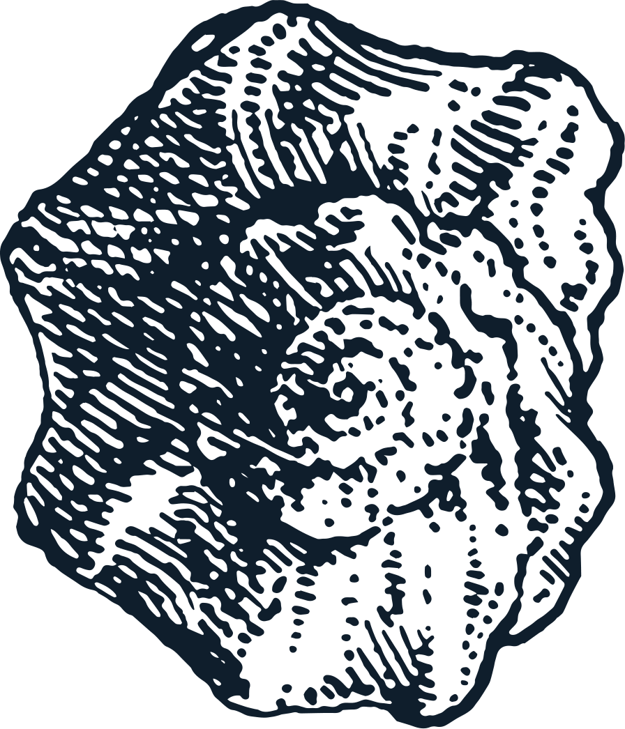 FOUNT Ultd. Official Symbol.