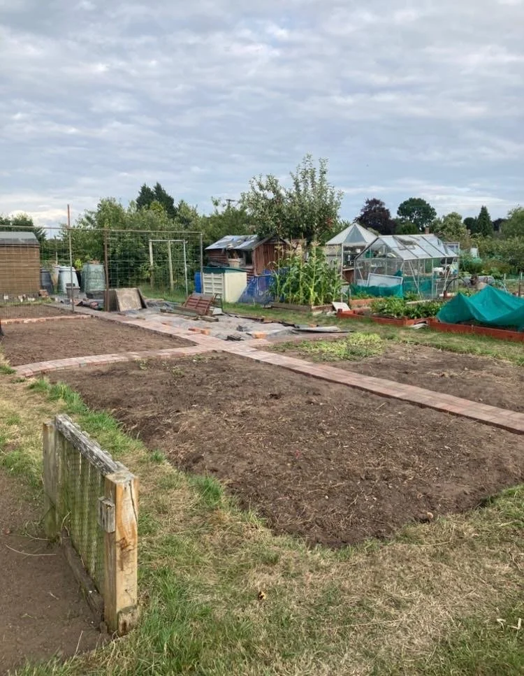 c1176b09-629a-4afc-955c-51c50db1b66c 2.JPG