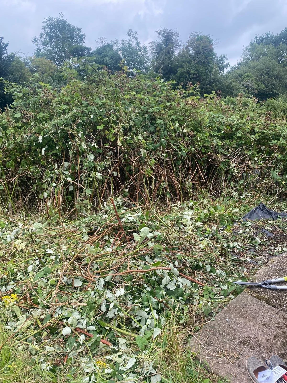 0b68b434-cd2f-442b-a13e-160520ee0223 2.JPG