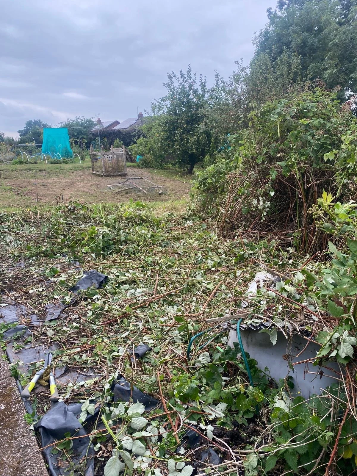 8d2701fb-e1ff-4116-a2f5-4b87db8cdbc7 2.JPG