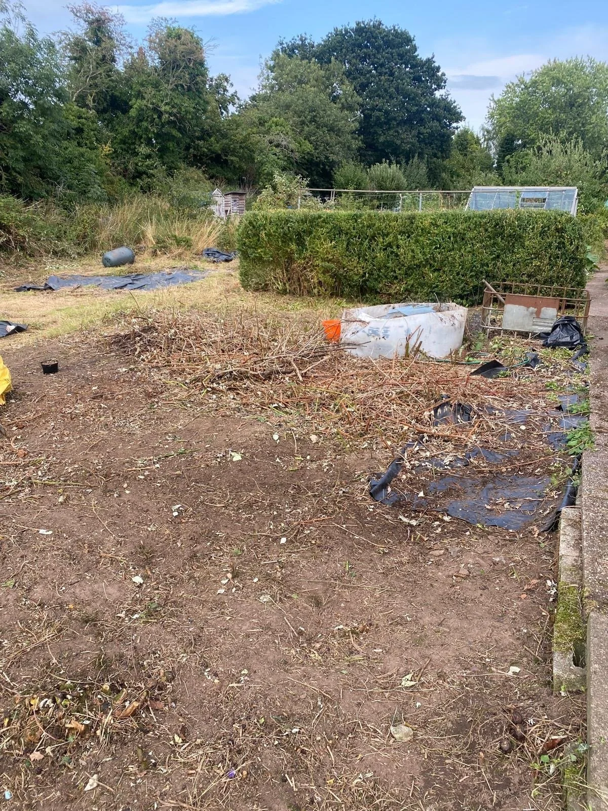 9e7f2b37-30db-4d37-b8a7-0a58f22edeec 2.JPG