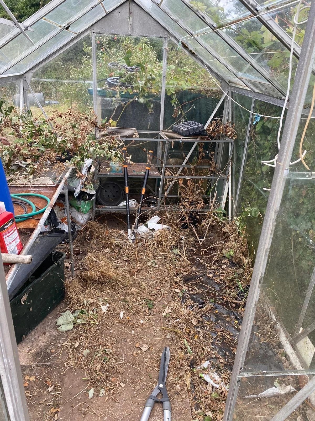 b510eacd-1af0-49e3-900d-ba78a5c9fb80 2.JPG