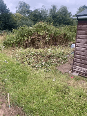  An allotment plot 