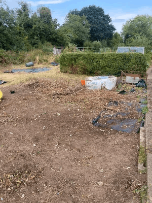  An allotment plot 
