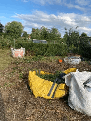  An allotment plot 
