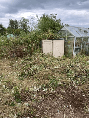  An allotment plot 