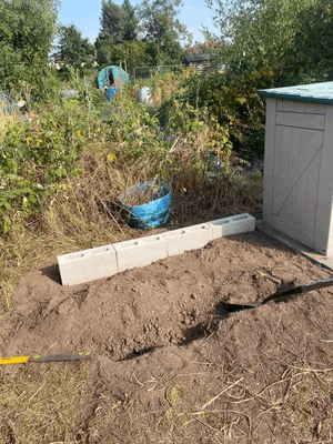  An allotment plot 