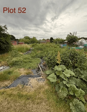  An allotment plot 