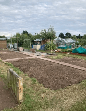  An allotment plot 