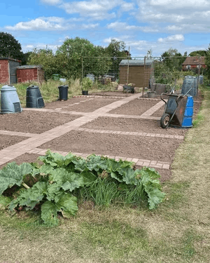  An allotment plot 