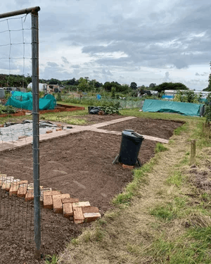  An allotment plot 