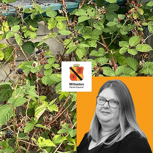 Willaston Parish Council allotments go green and Lean&nbsp;&nbsp;