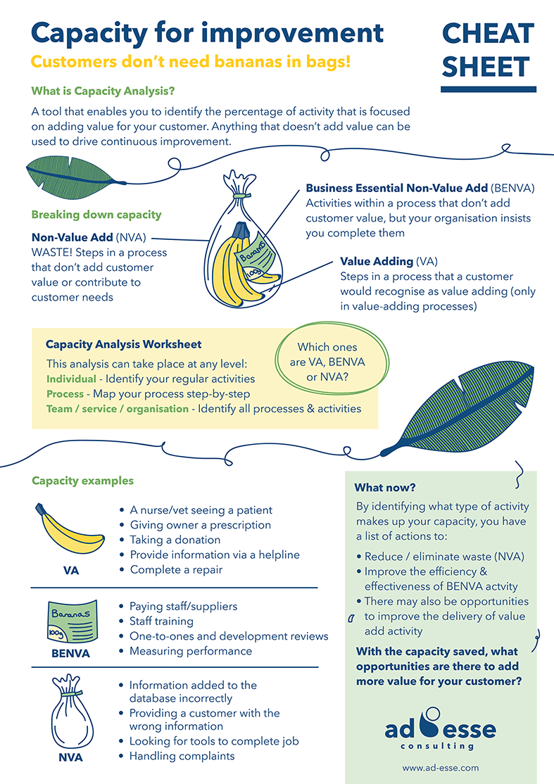Capacity for improvement cheat sheet for Ad Esse Consulting