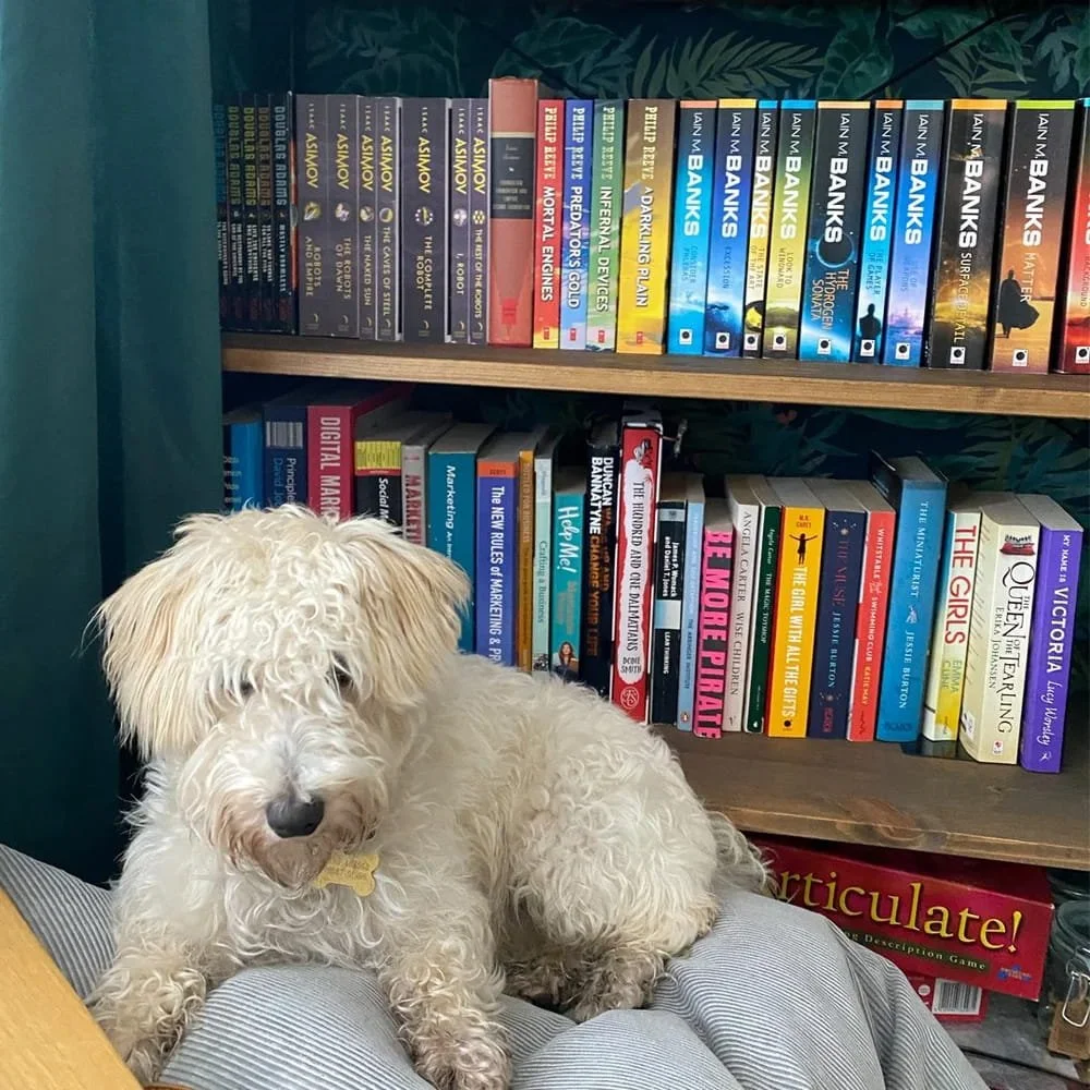 A dog in front of a book shelf