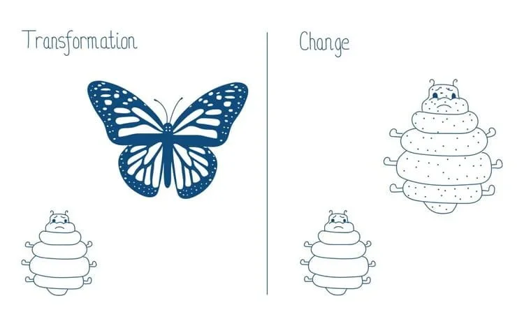 A caterpillar and a butterfly beside a caterpillar and a bigger caterpillar