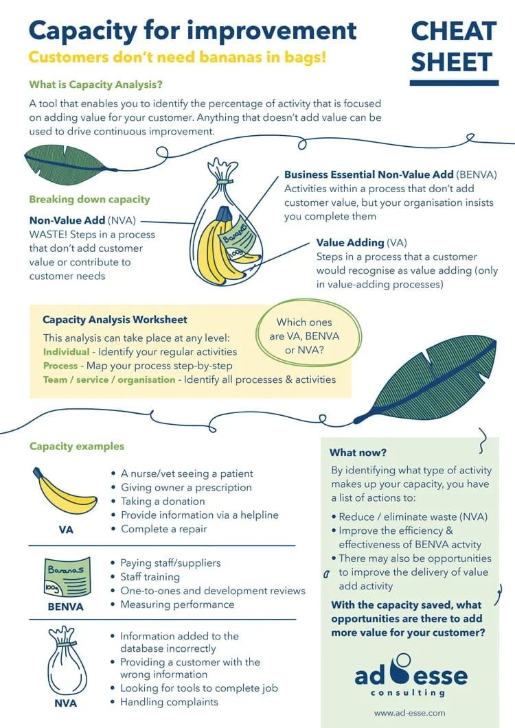 Capacity for improvement cheat sheet by Ad Esse