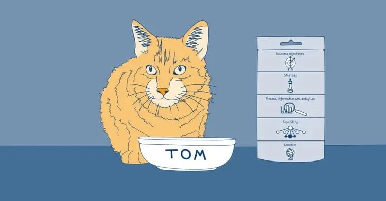 A ginger cat with a bowl that says 'Tom'