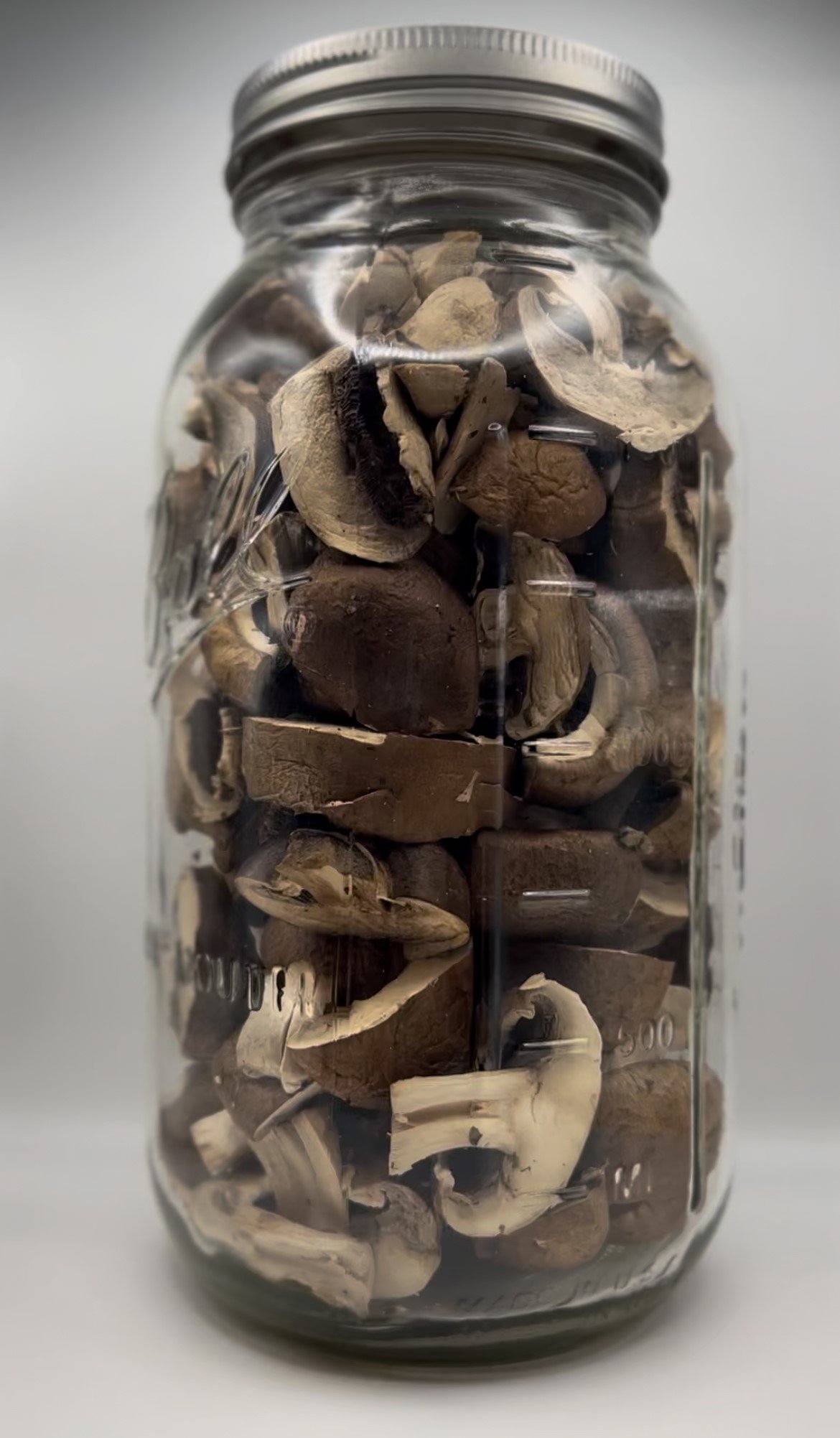 Bella Mushrooms.jpg