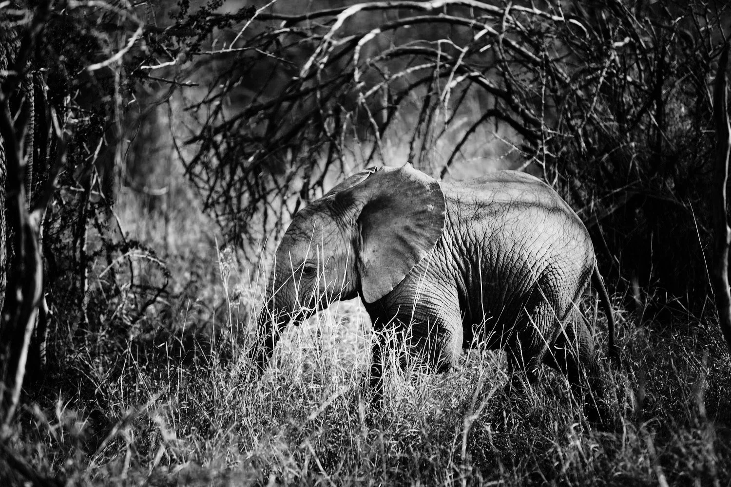 DB7A0839%EF%B9%96forma