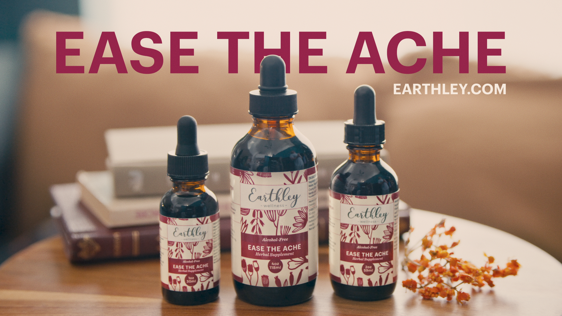 Screen Shot 2025-01-11 at 1.49.03 PM.png