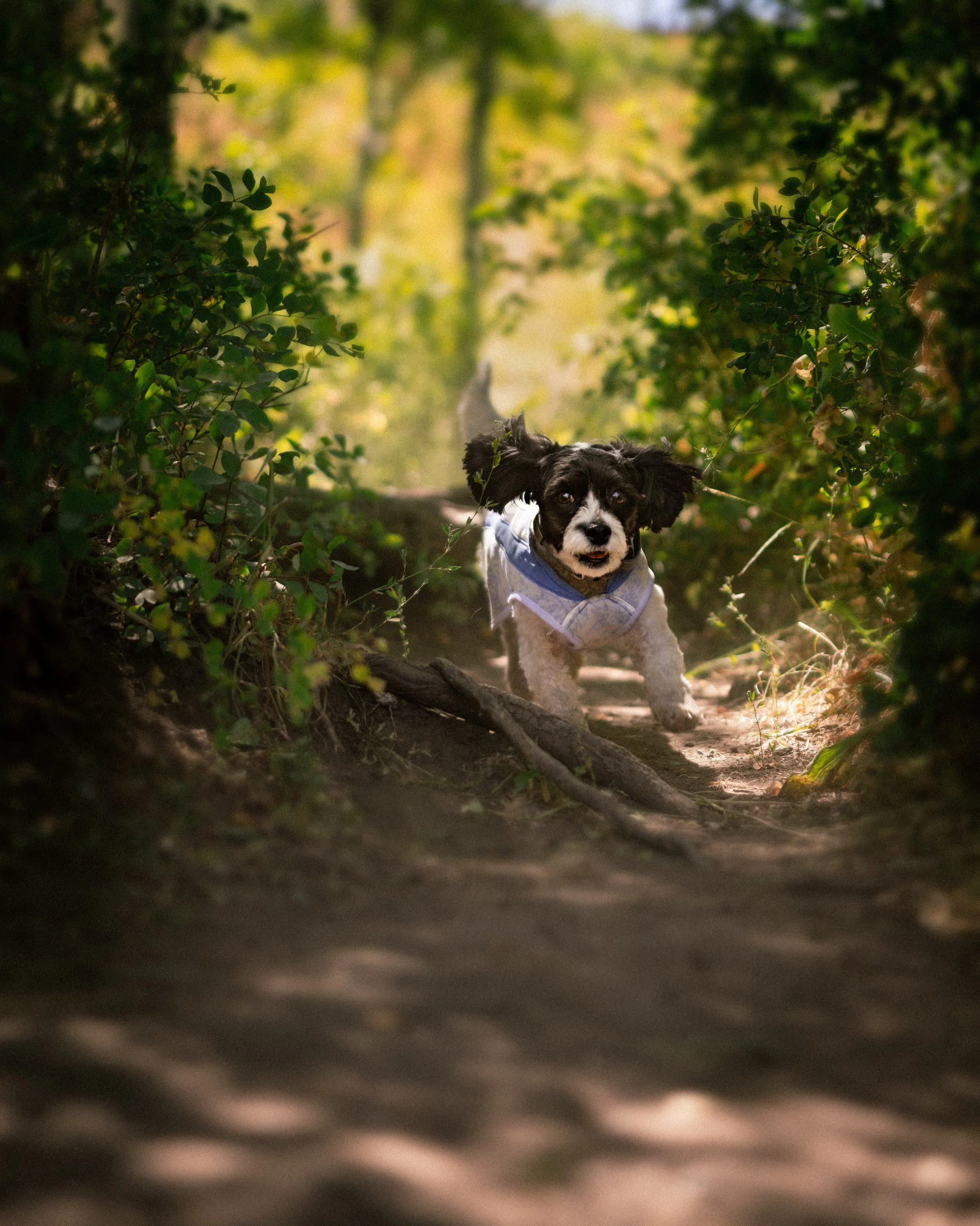 IMG_0695-Edit-2.jpg