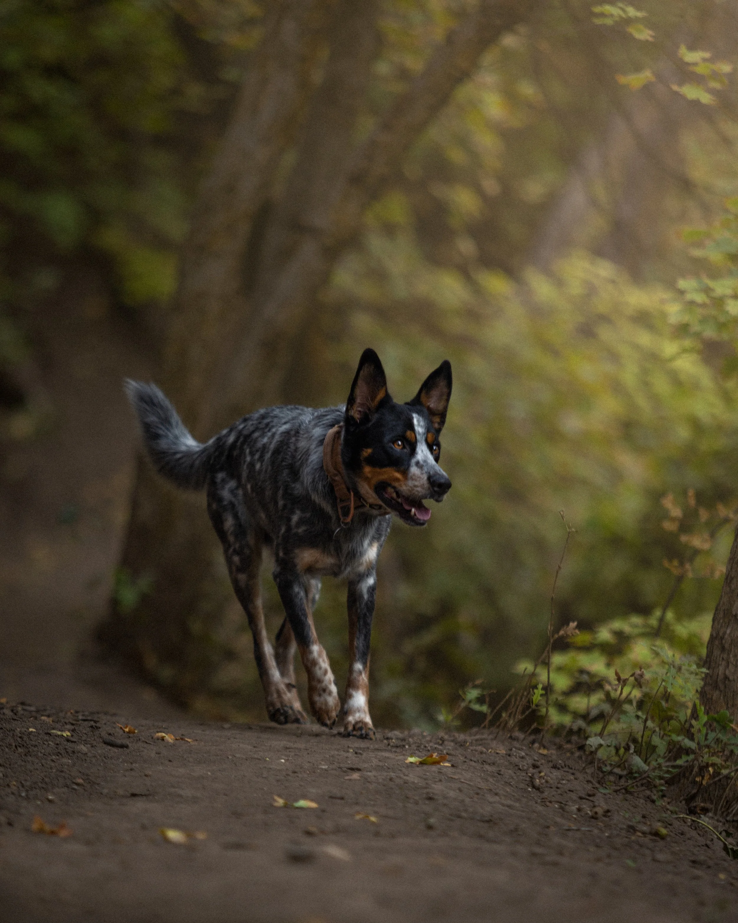 IMG_6616-Edit.jpg