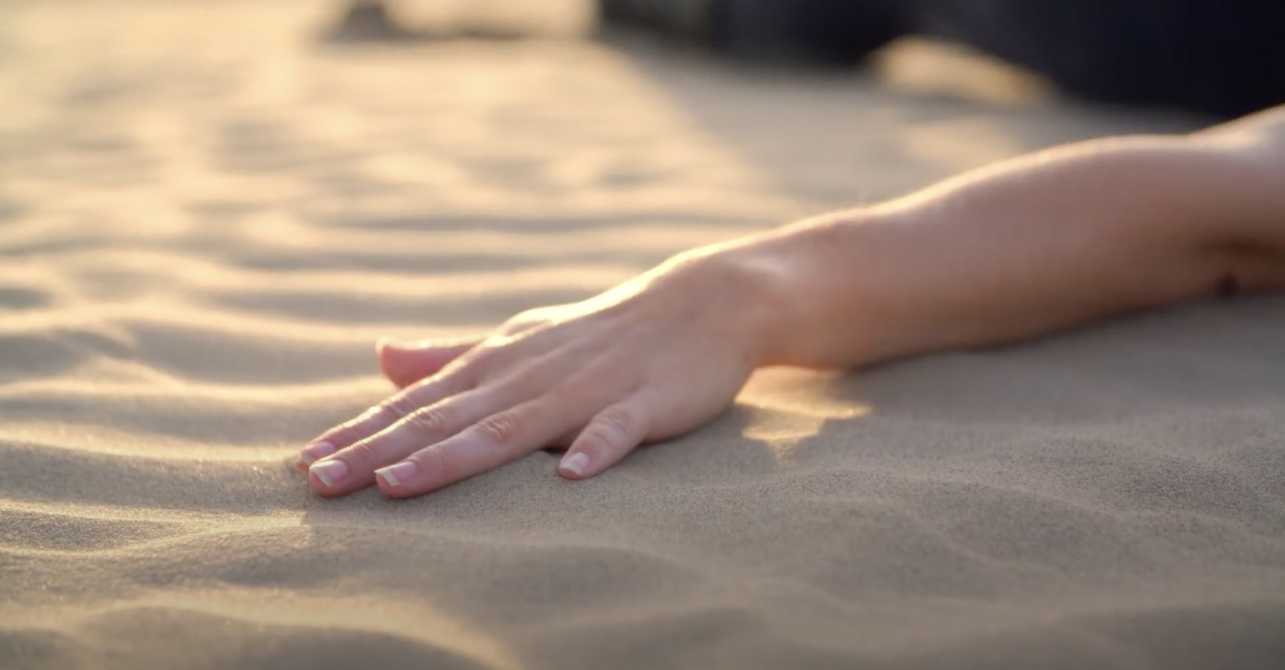 Screen Shot 2024-11-16 at 7.40.45 PM.png