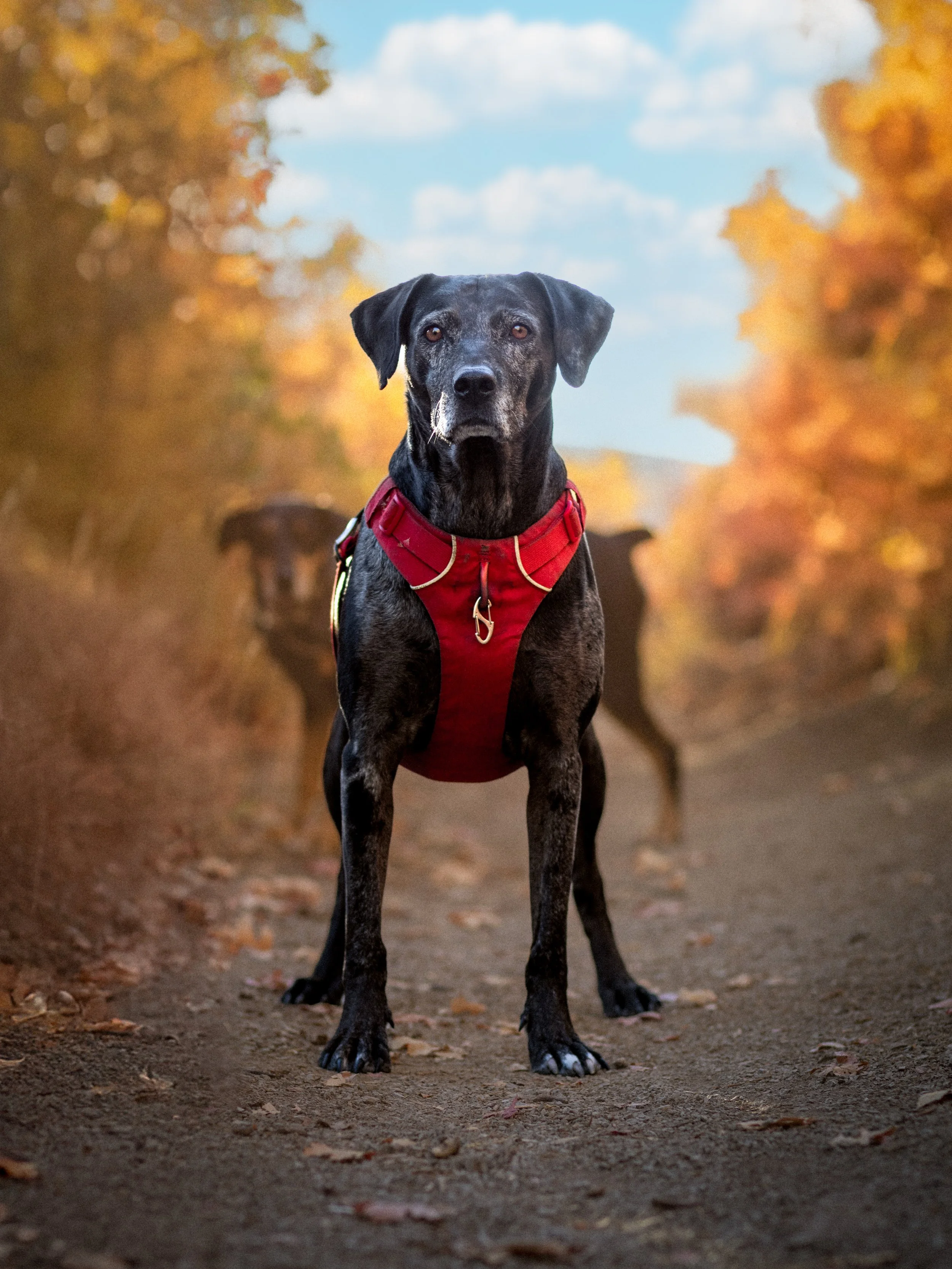 IMG_8656-Edit-Edit-2.jpg