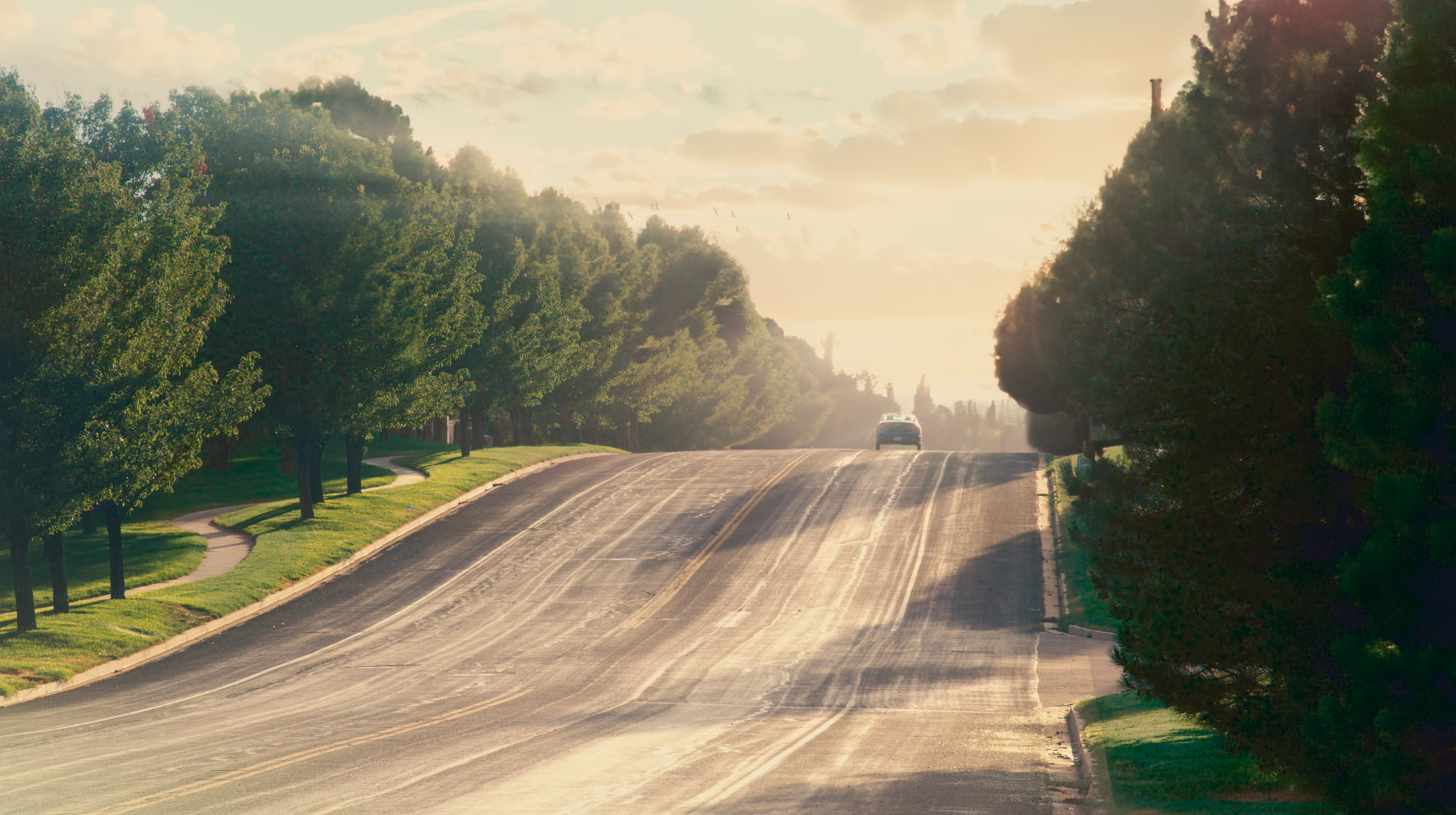 Screen Shot 2025-01-11 at 12.18.58 PM.png