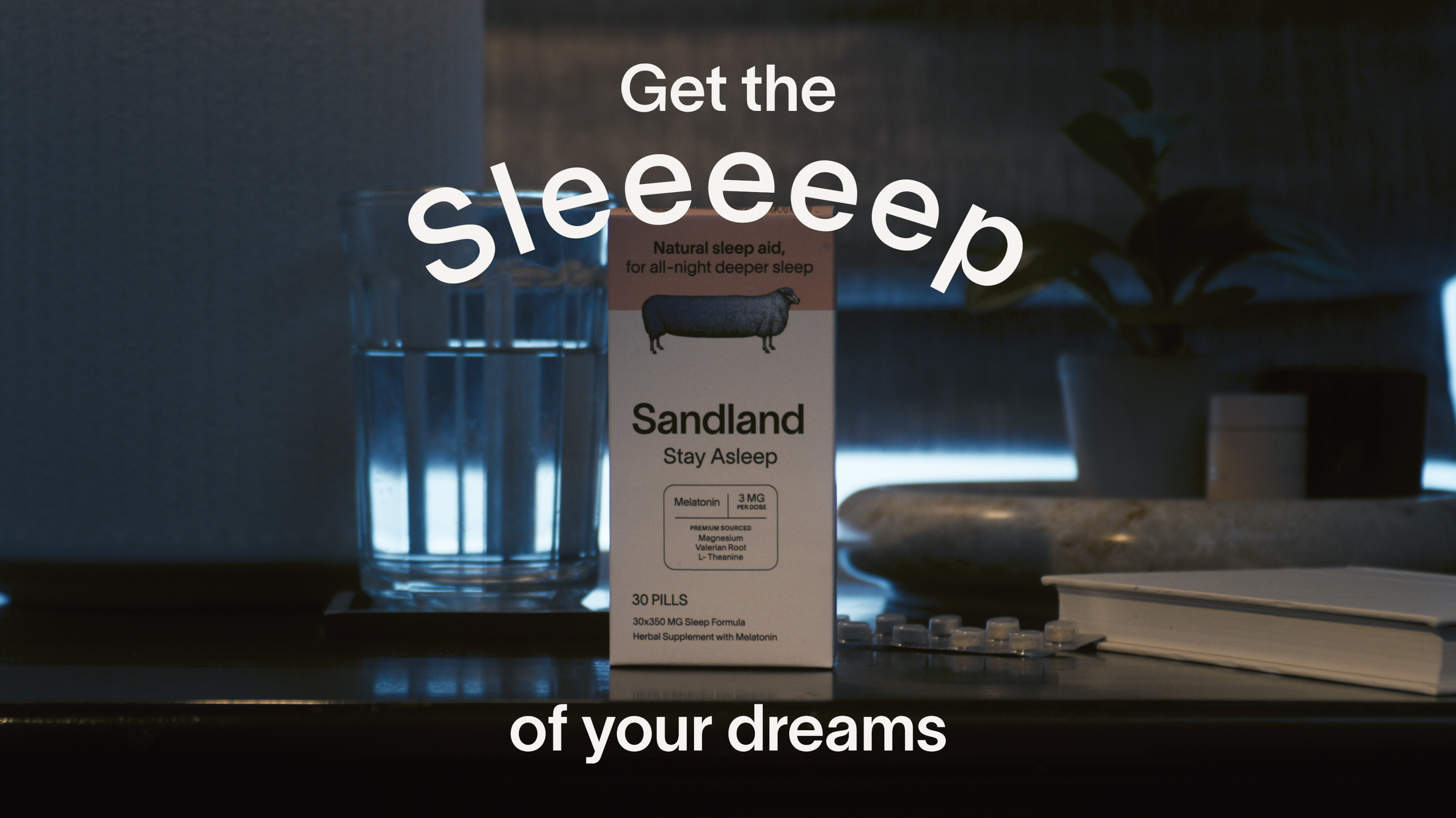 Screen Shot 2025-01-11 at 12.21.12 PM.png