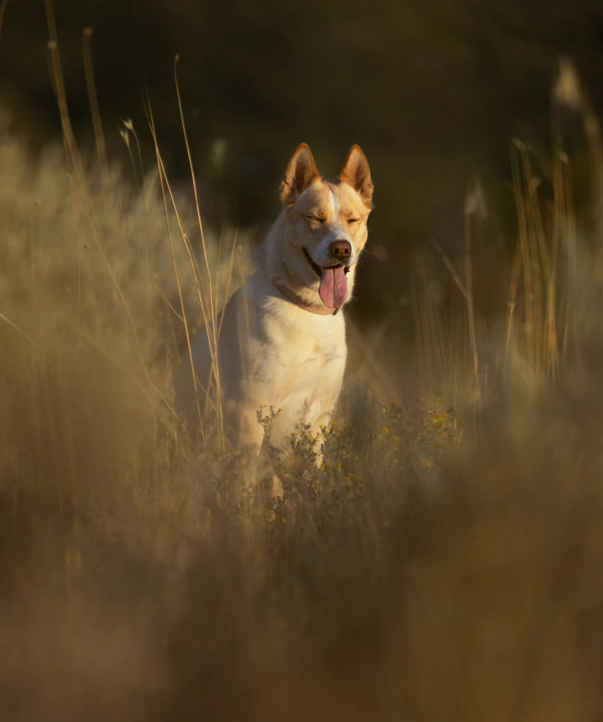 IMG_183 4-Edit-Edit.jpg