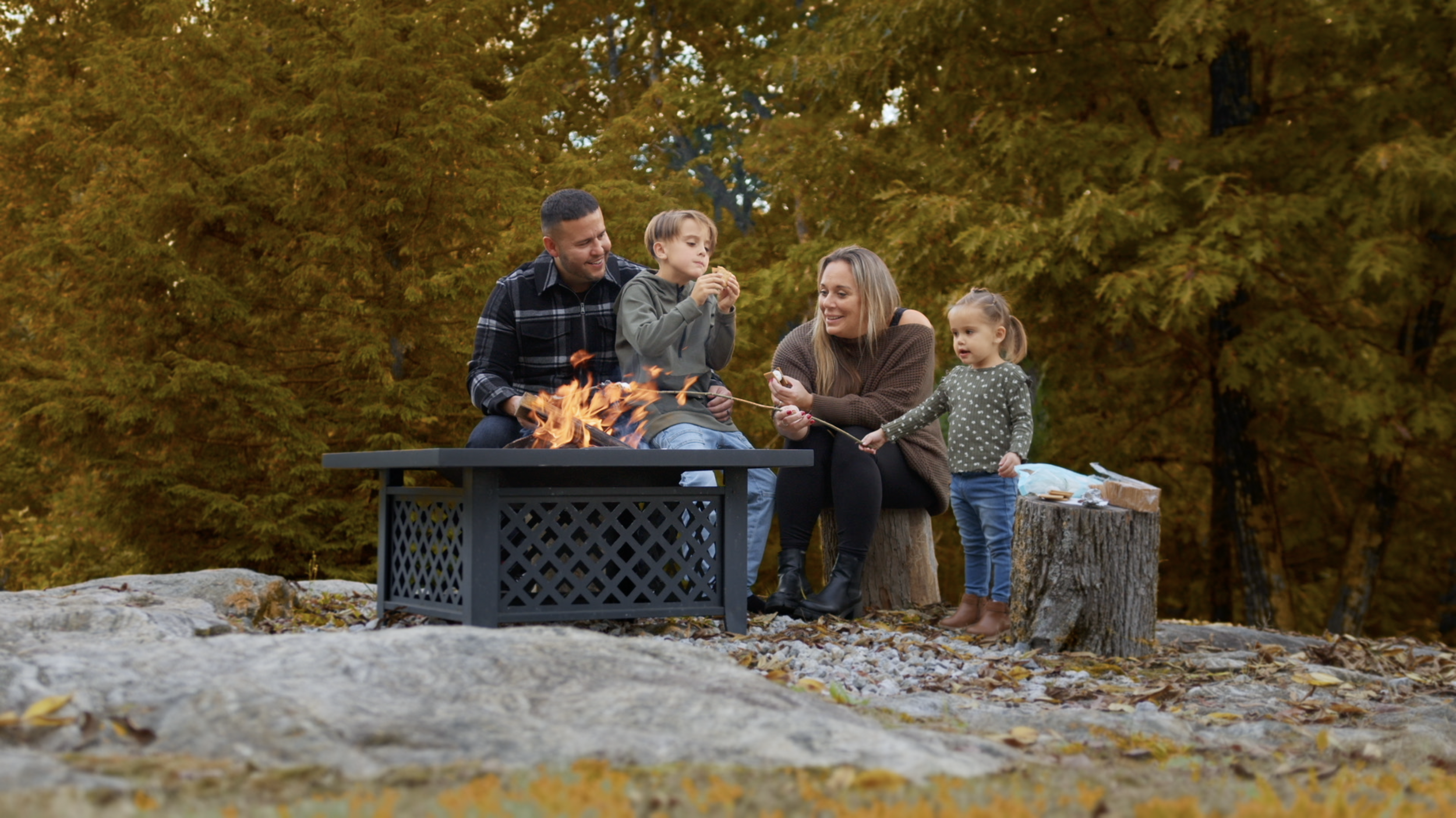 Screen Shot 2024-11-16 at 12.02.55 PM.png