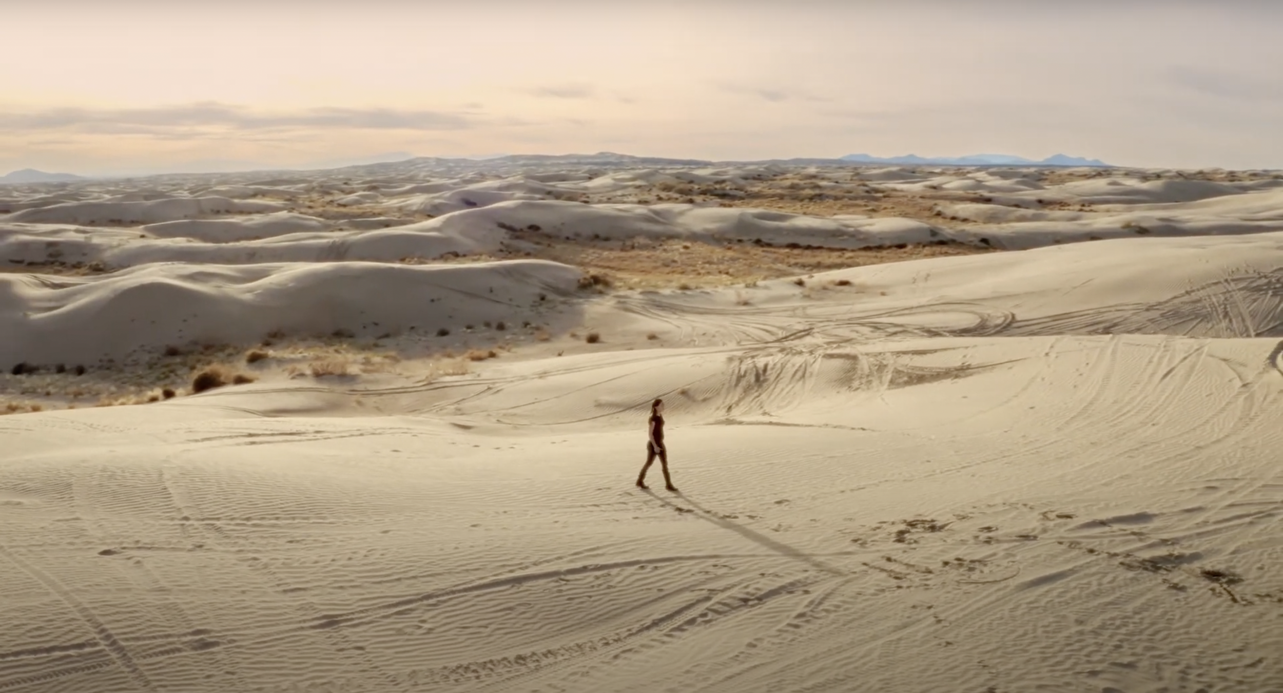 Screen Shot 2024-11-16 at 7.43.45 PM.png