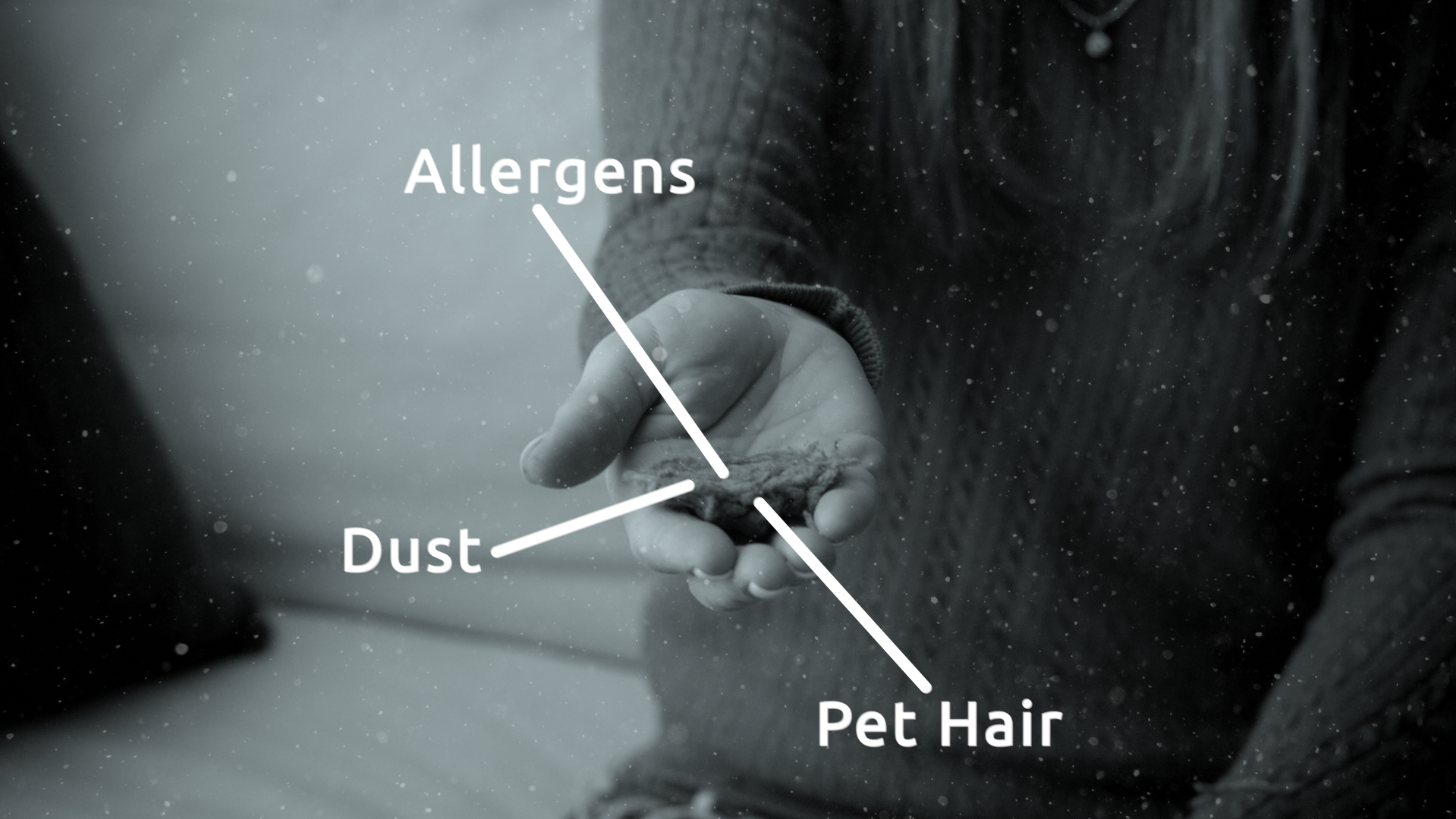 Screen Shot 2025-01-11 at 1.42.59 PM.png