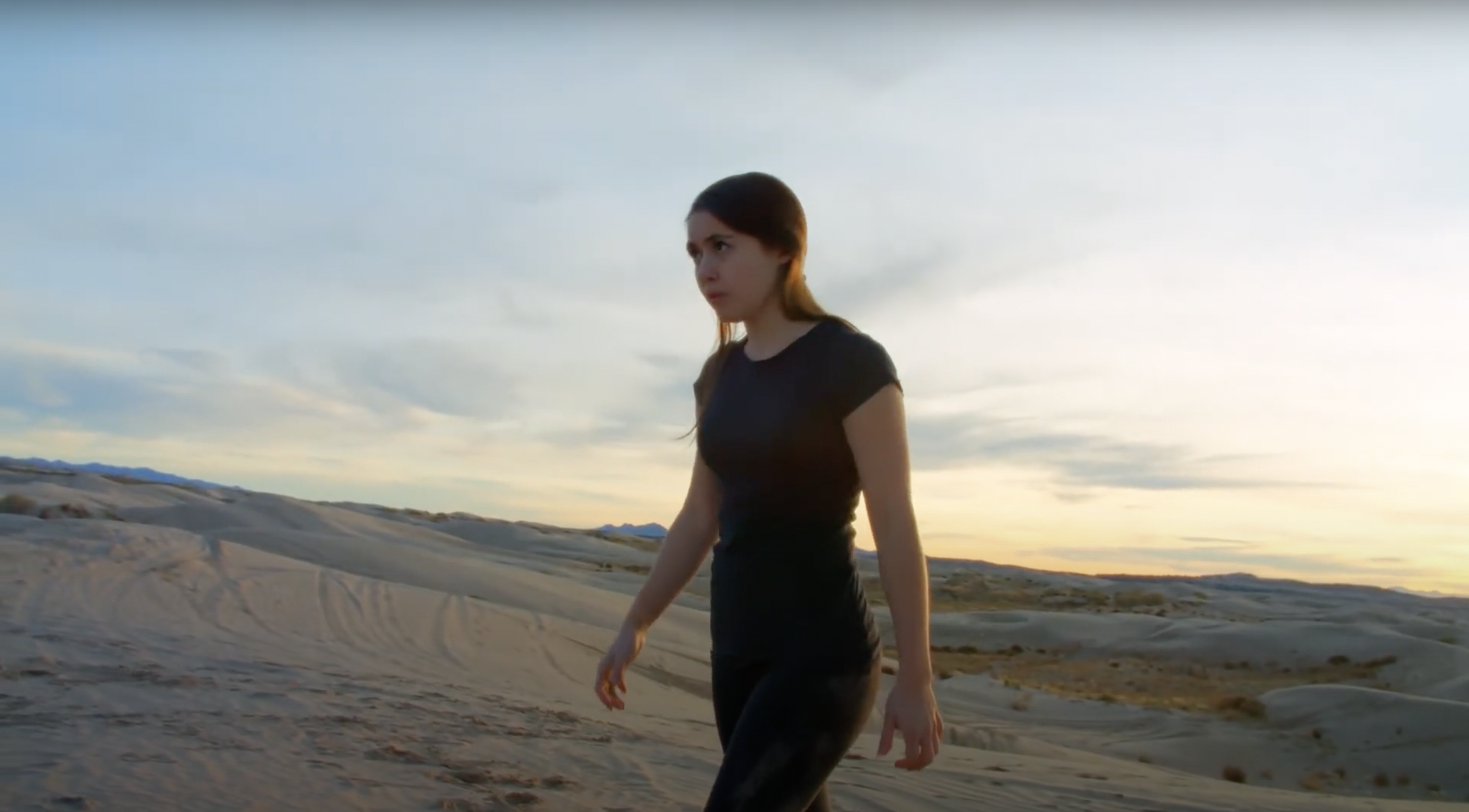 Screen Shot 2024-11-16 at 7.41.53 PM.png