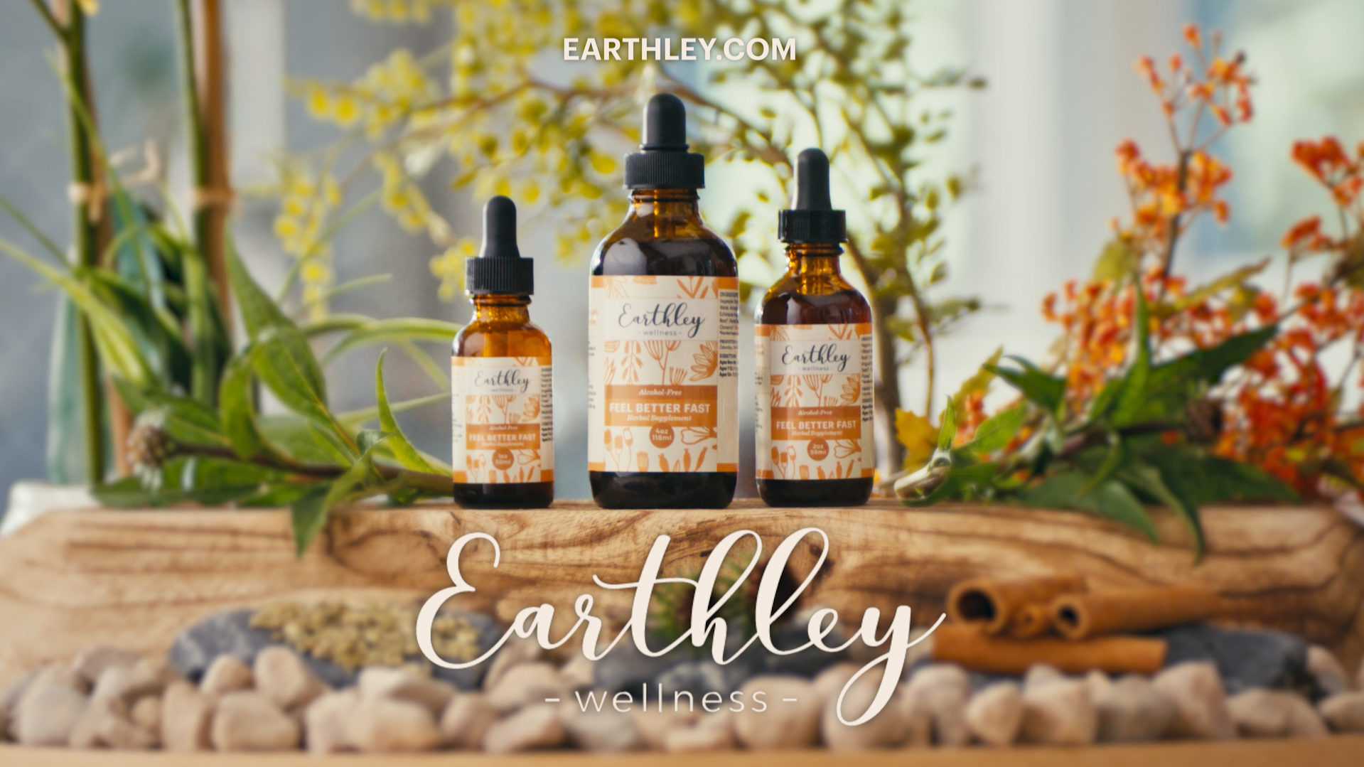 Screenshot 2024-07-31 121406.png