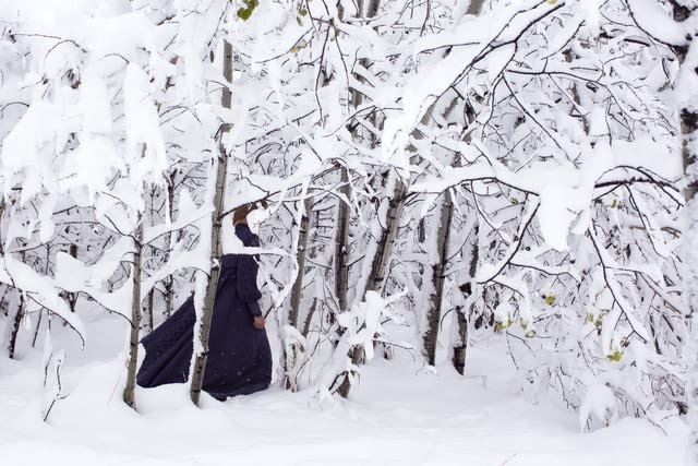 Danielle Nelson Mourning, Snow White II