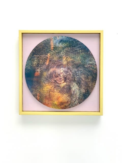 Danielle Nelson Mourning Lion in the Dogwood, 2020