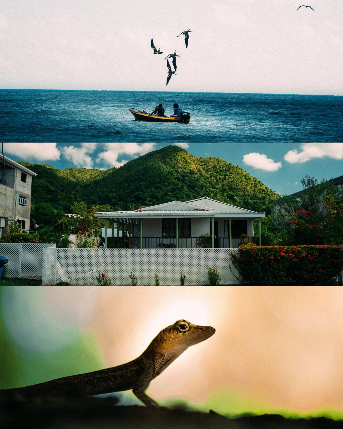 Frames from 📍Providencia, Colombia 🇨🇴

#photography #colombia