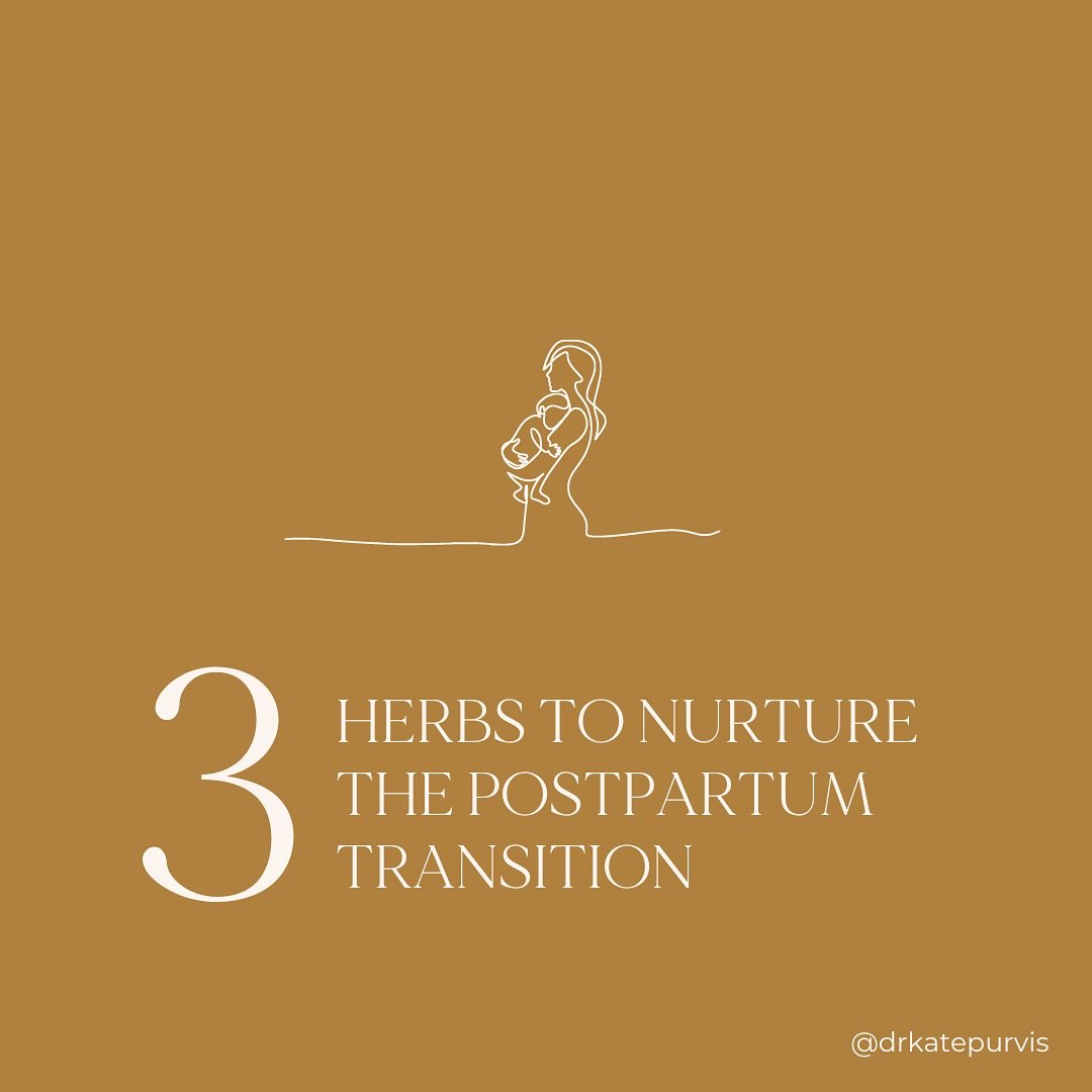 Postpartum is a time of massive transition.  Instead of surrendering to that transition and all it has to offer for deep healing, we often try to ignore it OR fight it, trying to &ldquo;bounce back&rdquo; as soon as possible. 

Nurturing and nourishi