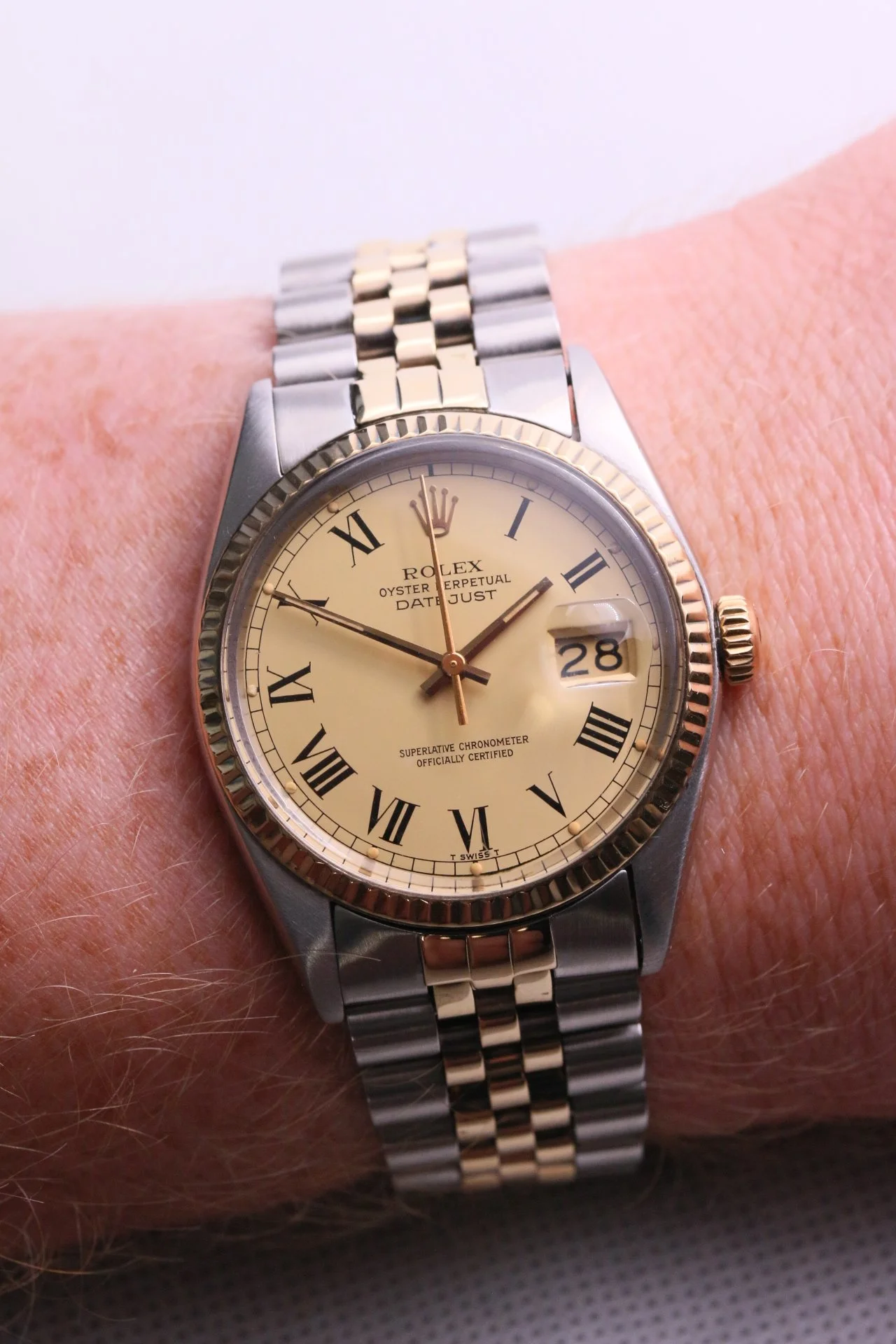 IMG_2207.JPG