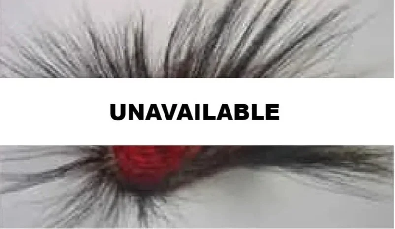 Eastern Woodland Native Americans I